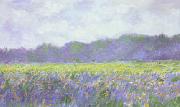 Claude Monet Field of Yellow Iris at Giverny china oil painting artist